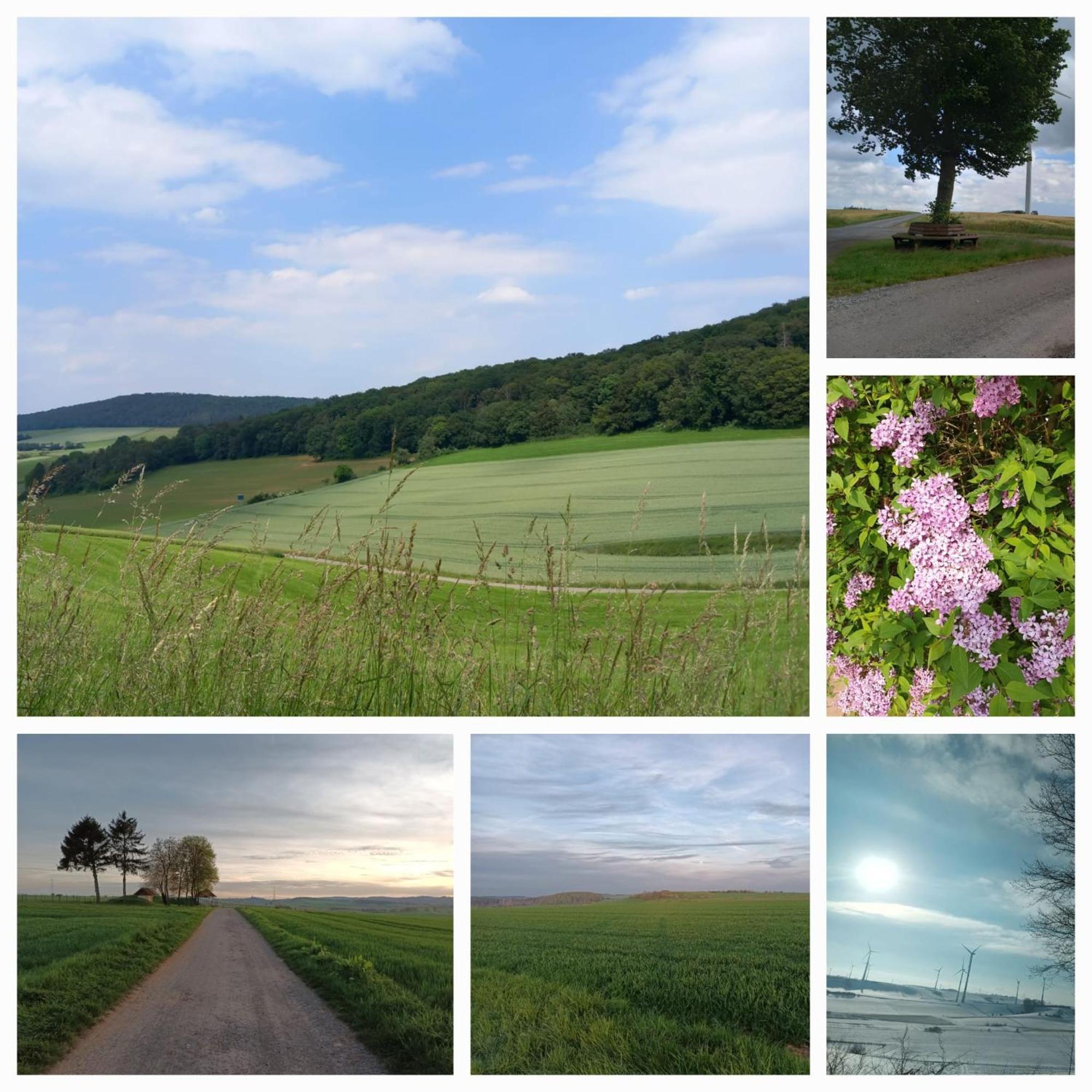 Gaestezimmer Diemelstadt Zewnętrze zdjęcie